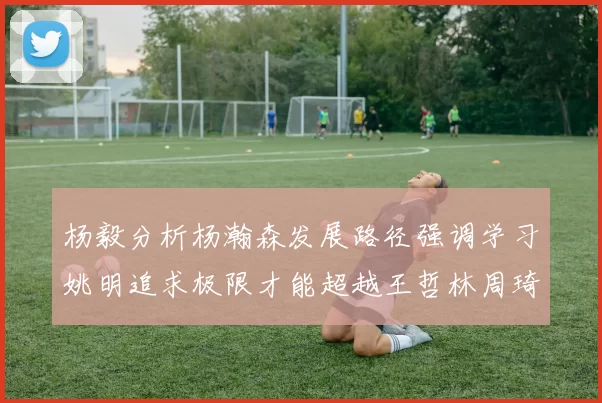 杨毅分析杨瀚森发展路径强调学习姚明追求极限才能超越王哲林周琦状态