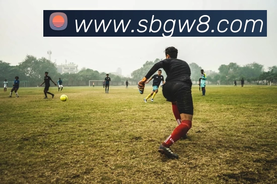 多媒体互动体验