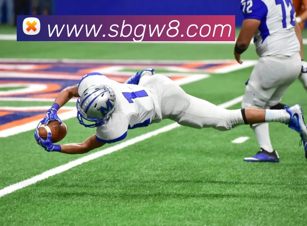 沙巴官网APP 体育赛事宣传图